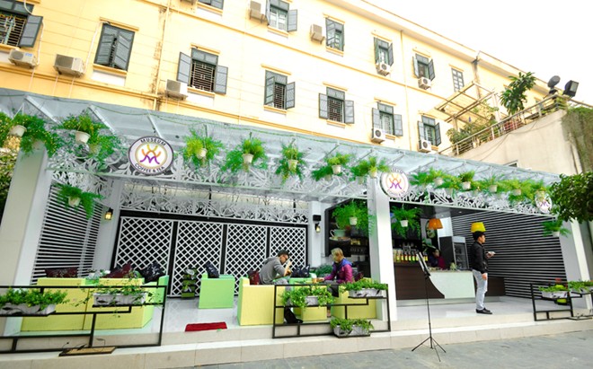Museum Coffee & Tea - Quán cafe ngập tràn nắng và hoa