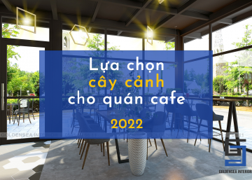 Lựa chọn cây cảnh trang trí cho quán cafe 2022 2