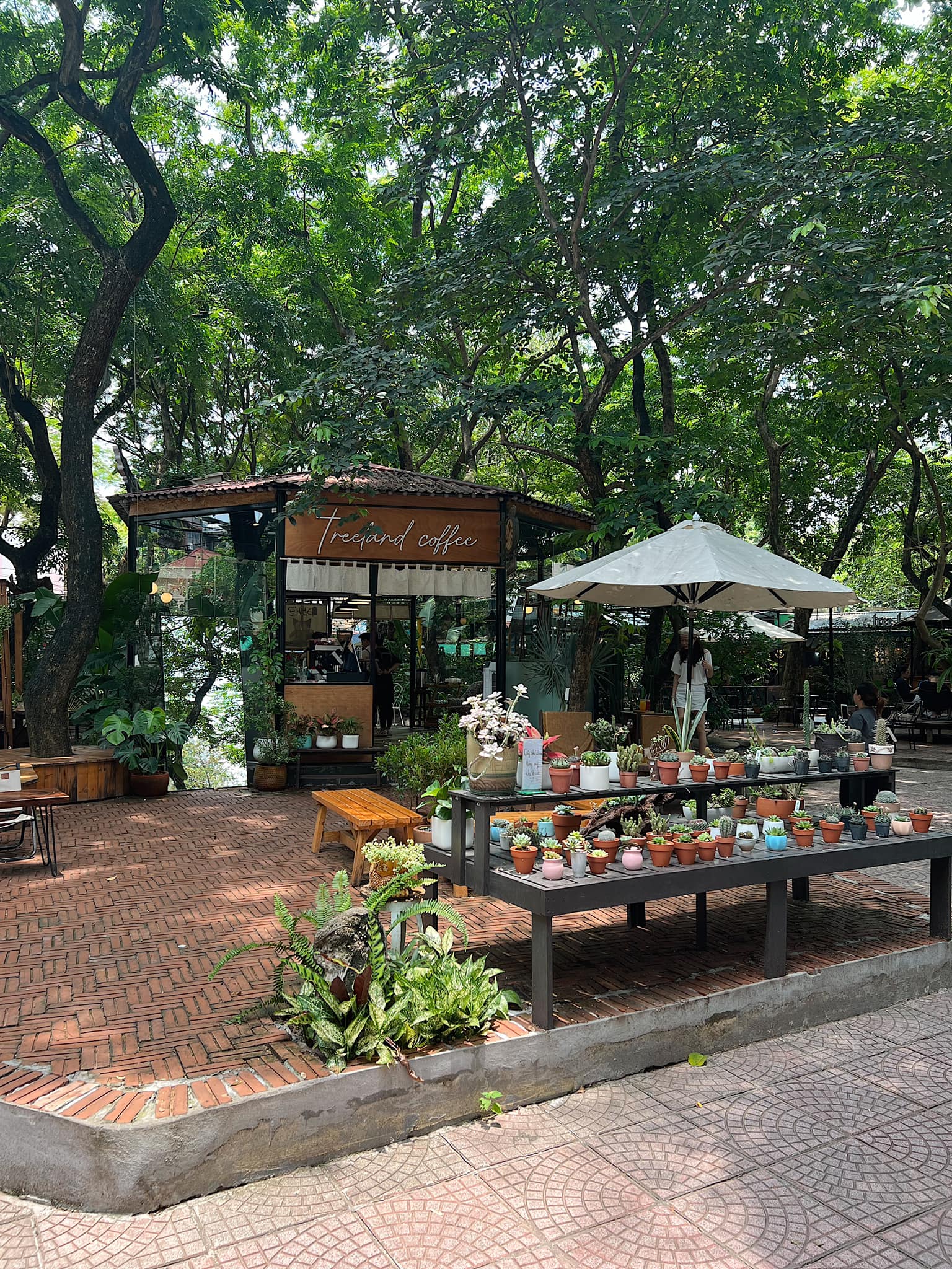 Top 4 quán cafe sân vườn cho giới trẻ Hà Nội 6