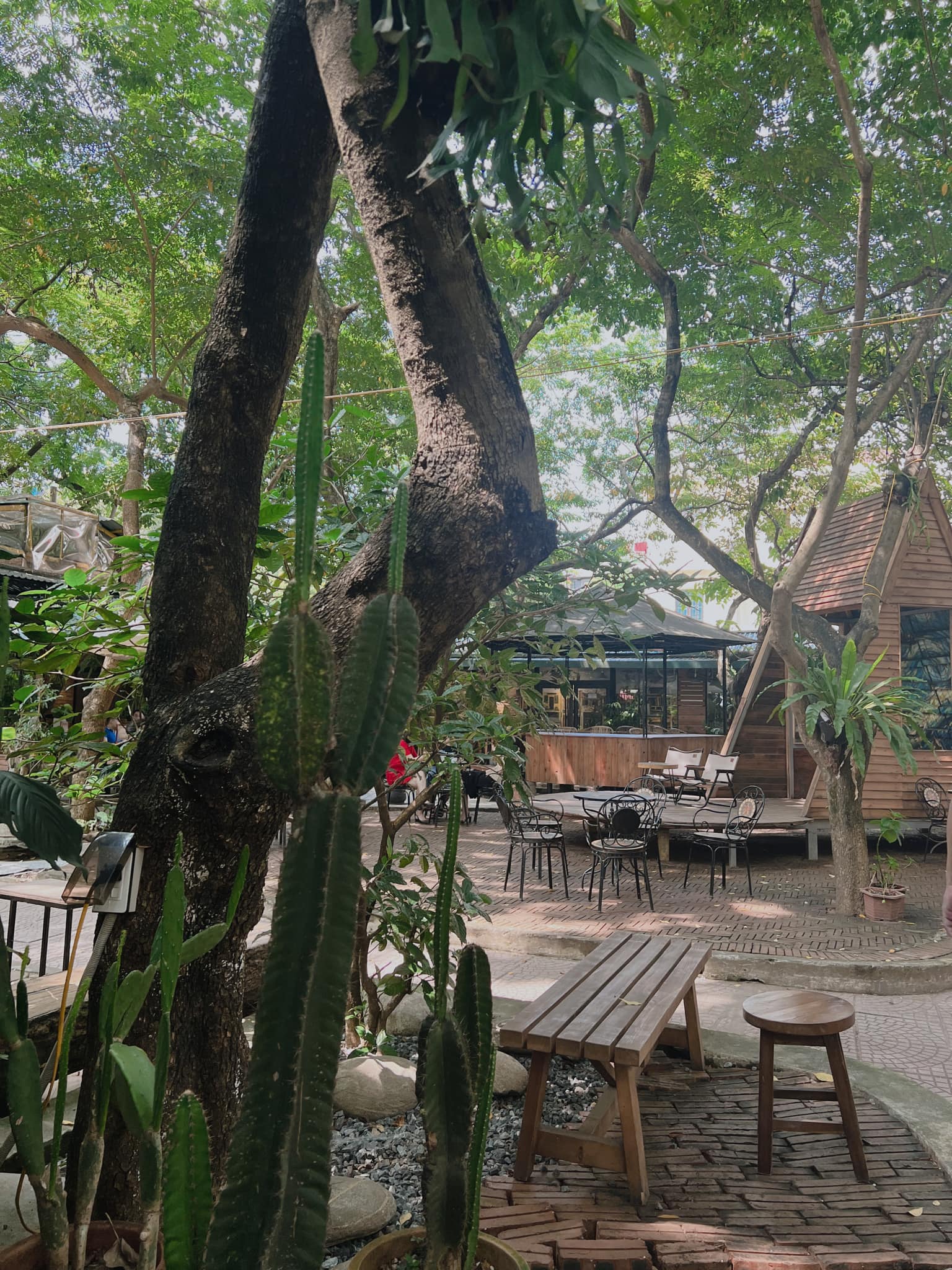 Top 4 quán cafe sân vườn cho giới trẻ Hà Nội 7
